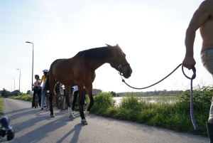 Milan: Bike Tour with Picnic on the turtle lake