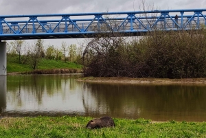Milan: Bike Tour with Picnic on the turtle lake