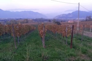 Milan: Brescia & Franciacorta Guided Tour with Wine Tasting