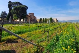 Milan: Brescia & Franciacorta Guided Tour with Wine Tasting