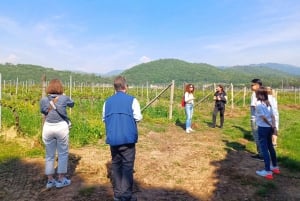 Milan: Brescia & Franciacorta Guided Tour with Wine Tasting