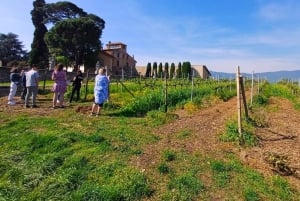 Milan: Brescia & Franciacorta Guided Tour with Wine Tasting