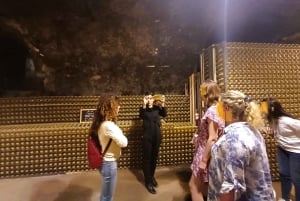Lake Iseo & Franciacorta Winery. Scenic & Wine Tasting tour