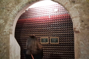 Lake Iseo & Franciacorta Winery. Scenic & Wine Tasting tour