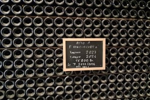 Lake Iseo & Franciacorta Winery. Scenic & Wine Tasting tour