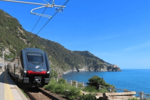 Milán: Ticket de entrada en autobús y tren desde/hasta la playa de Malpasso