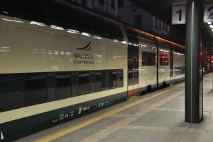 Milano stad/flygplats: Malpensa Express tågbiljetter, 1-vägs