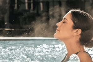 Milan : billet journalier pour De Montel - Terme Milano