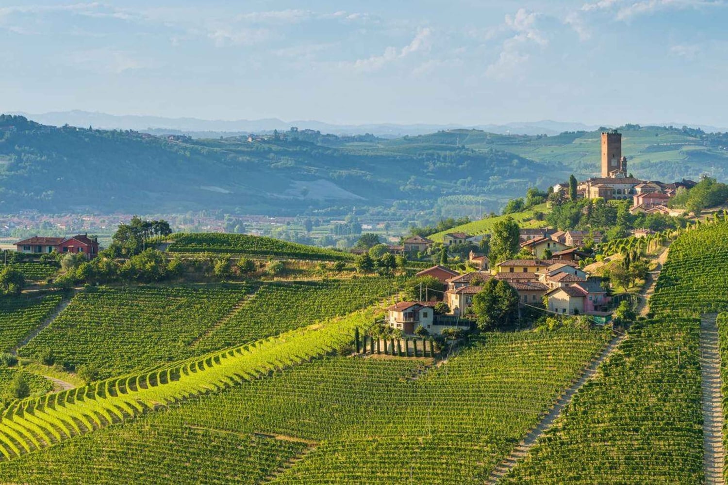 Excursions à Milan : Visite du vignoble de Barolo avec un chauffeur privé