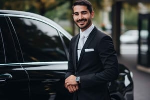 Excursions à Milan : Visite du vignoble de Barolo avec un chauffeur privé