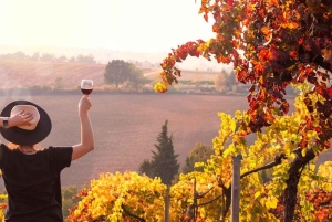 Excursions à Milan : Visite du vignoble de Barolo avec un chauffeur privé