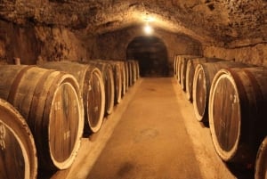 Excursions à Milan : Visite du vignoble de Barolo avec un chauffeur privé