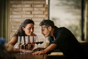 Excursions à Milan : Visite du vignoble de Barolo avec un chauffeur privé