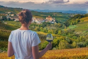 Excursions à Milan : Visite du vignoble de Barolo avec un chauffeur privé