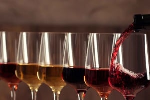 Excursions à Milan : Visite du vignoble de Barolo avec un chauffeur privé