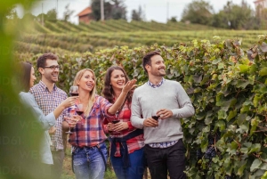 Excursions à Milan : Visite du vignoble de Barolo avec un chauffeur privé