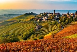 Excursions à Milan : Visite du vignoble de Barolo avec un chauffeur privé