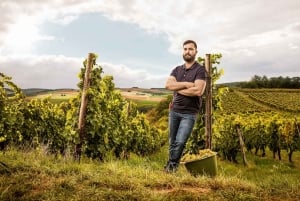Excursions à Milan : Visite du vignoble de Barolo avec un chauffeur privé