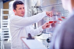 Excursions à Milan : Visite du vignoble de Barolo avec un chauffeur privé