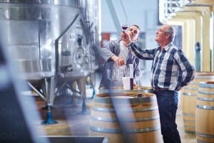 Excursions à Milan : Visite du vignoble de Barolo avec un chauffeur privé