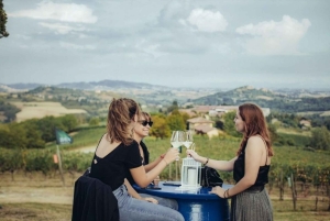 Excursions à Milan : Visite du vignoble de Barolo avec un chauffeur privé