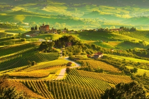 Excursions à Milan : Visite du vignoble de Barolo avec un chauffeur privé