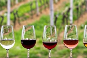 Excursions à Milan : Visite du vignoble de Barolo avec un chauffeur privé