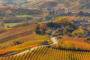 Excursions à Milan : Visite du vignoble de Barolo avec un chauffeur privé