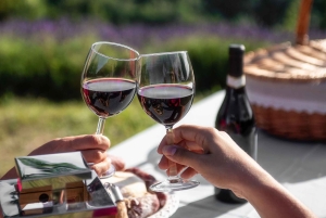 Excursions à Milan : Visite du vignoble de Barolo avec un chauffeur privé