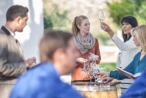 Excursions à Milan : Visite du vignoble de Barolo avec un chauffeur privé