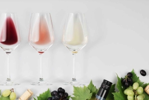 Excursions à Milan : Visite du vignoble de Barolo avec un chauffeur privé