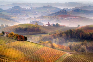 Excursions à Milan : Visite du vignoble de Barolo avec un chauffeur privé