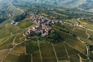 Excursions à Milan : Visite du vignoble de Barolo avec un chauffeur privé
