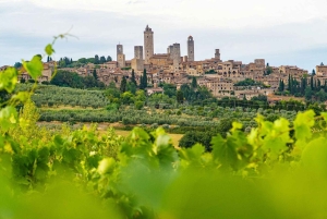 Excursions à Milan : Visite du vignoble de Barolo avec un chauffeur privé