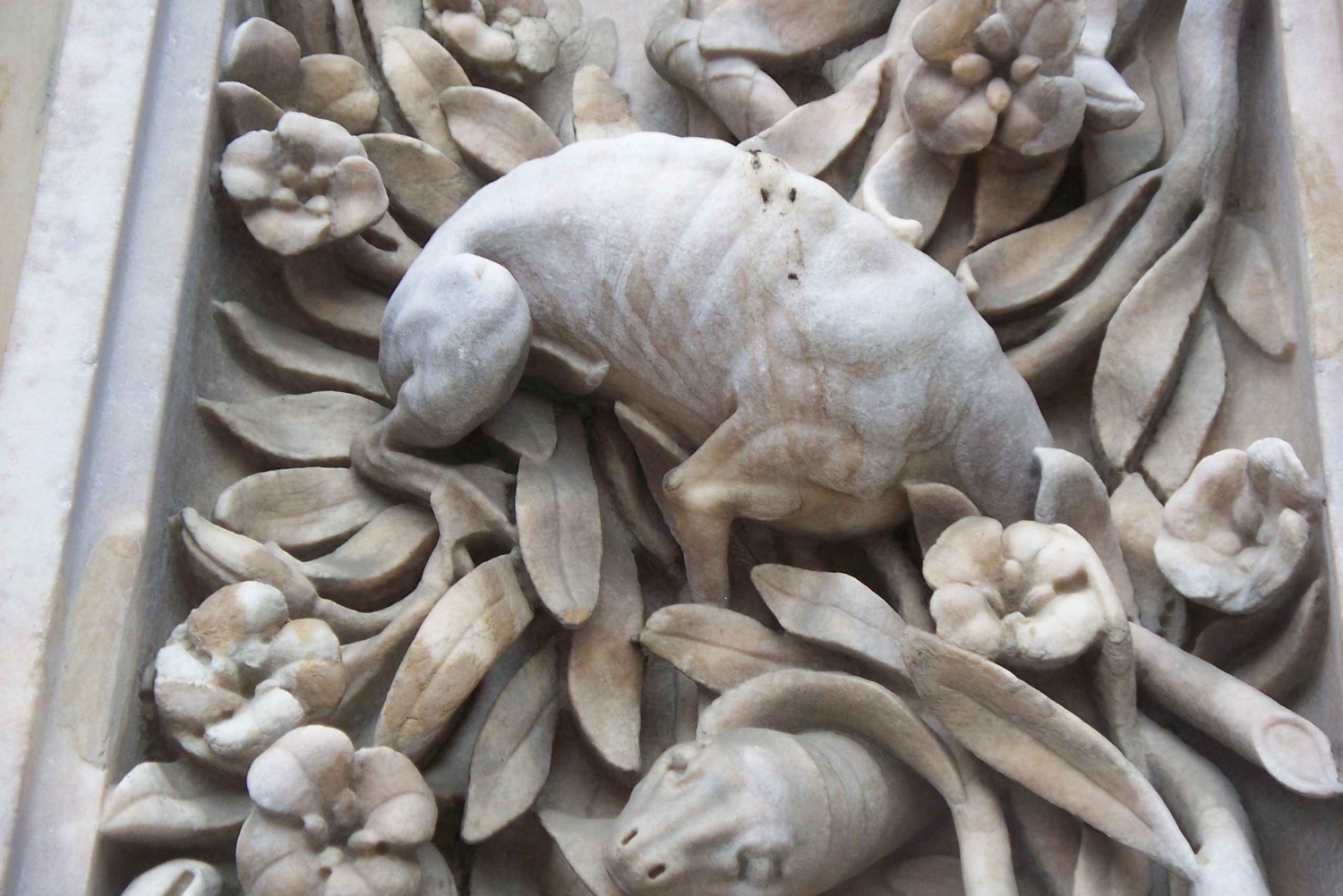 Milan: Duomo Legends of the Gargoyles & Dragon Tour