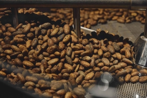 Milano: Tour Fabbrica del Cioccolato di Enrico Rizzi con degustazione