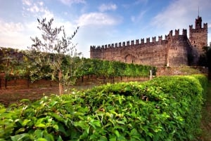 Milano: Franciacorta vingård och Bergamo dagsutflykt med lunch