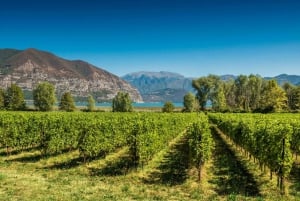 Milán: Excursión de un día a las Bodegas Franciacorta y Bérgamo con almuerzo