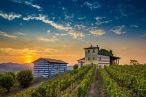 Milan: Franciacorta Winery and Bergamo Day Trip with Lunch