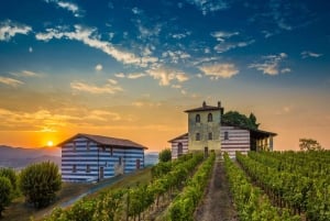 Milan: Franciacorta Winery and Bergamo Day Trip with Lunch