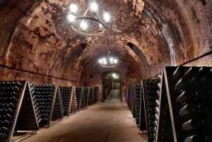 Milan: Franciacorta Winery and Bergamo Day Trip with Lunch