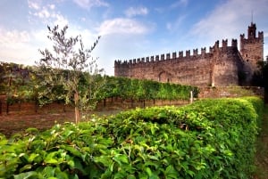 Milan: Franciacorta Winery and Bergamo Day Trip with Lunch