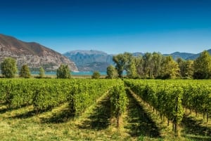 Milan: Franciacorta Winery and Bergamo Day Trip with Lunch