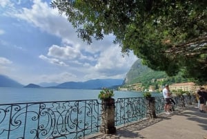 From Milan: Lake Como and Bernina Train Day Trip