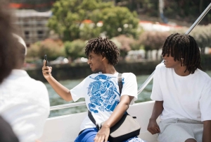 Milan: Lake Como & Bellagio Day Trip with Boat Cruise