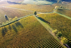 Milan: Lake Iseo & Franciacorta Wine Region with Cruise