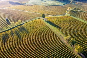 Milano: Iseojärvi & Franciacortan viinialue risteilyllä.