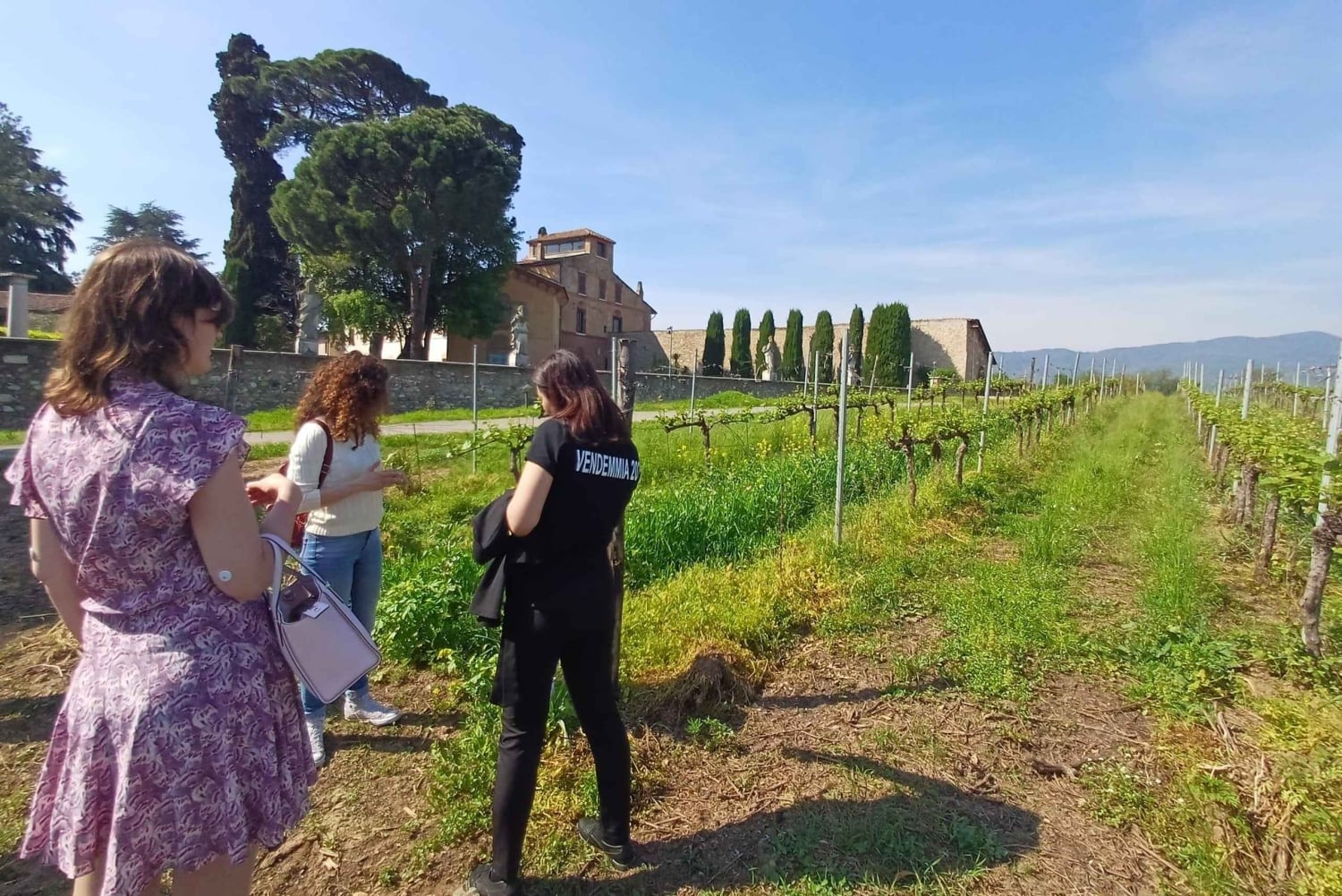 Milano: Tur till Iseosjön och Franciacorta med vingård och vinprovning