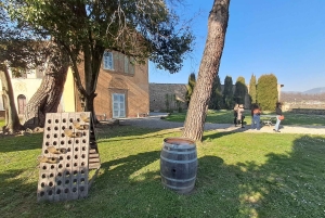 Milano: Tur till Iseosjön och Franciacorta med vingård och vinprovning