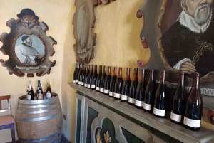 Milano: Tur till Iseosjön och Franciacorta med vingård och vinprovning